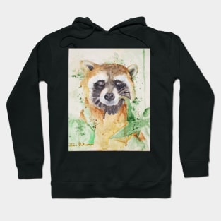 Raccoon Hoodie